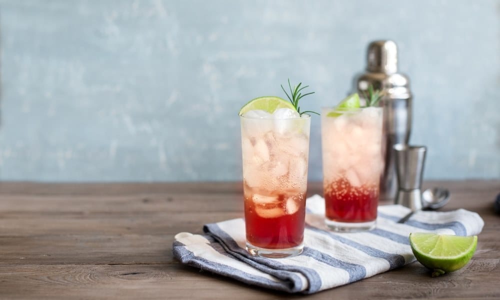 Cocktail Gin Fizz