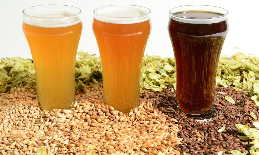 Des bières fabriquées à partir du kit de bière Brew monkey