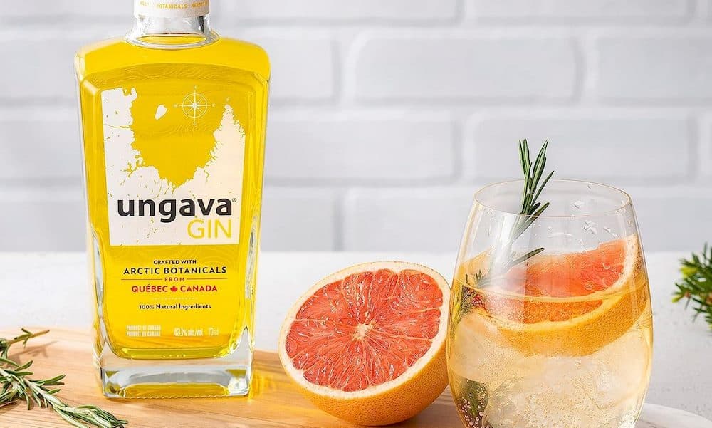Une des meilleurs gins